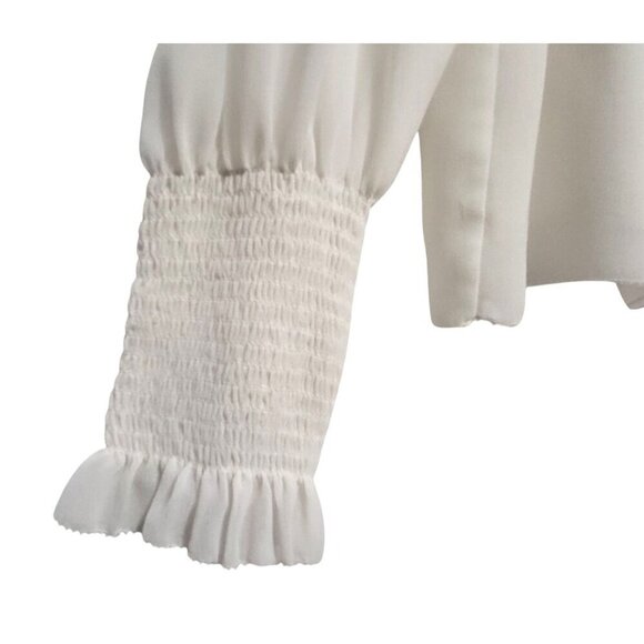 Aritzia Wilfred Valencia Blouse Light Birch Ivory Chiffon Mock Neck Top - Picture 7 of 15